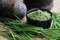 Barley Grass Powder