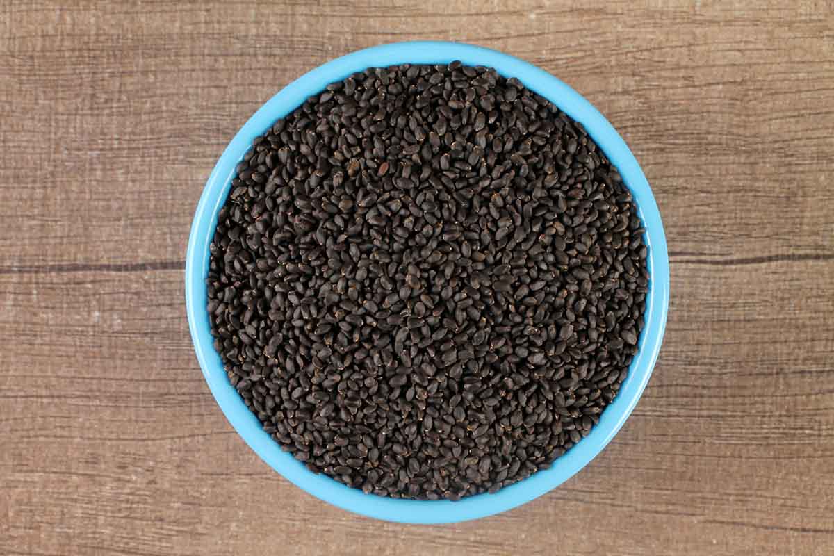 TAKMIRYASABJA SEEDS 100 GM