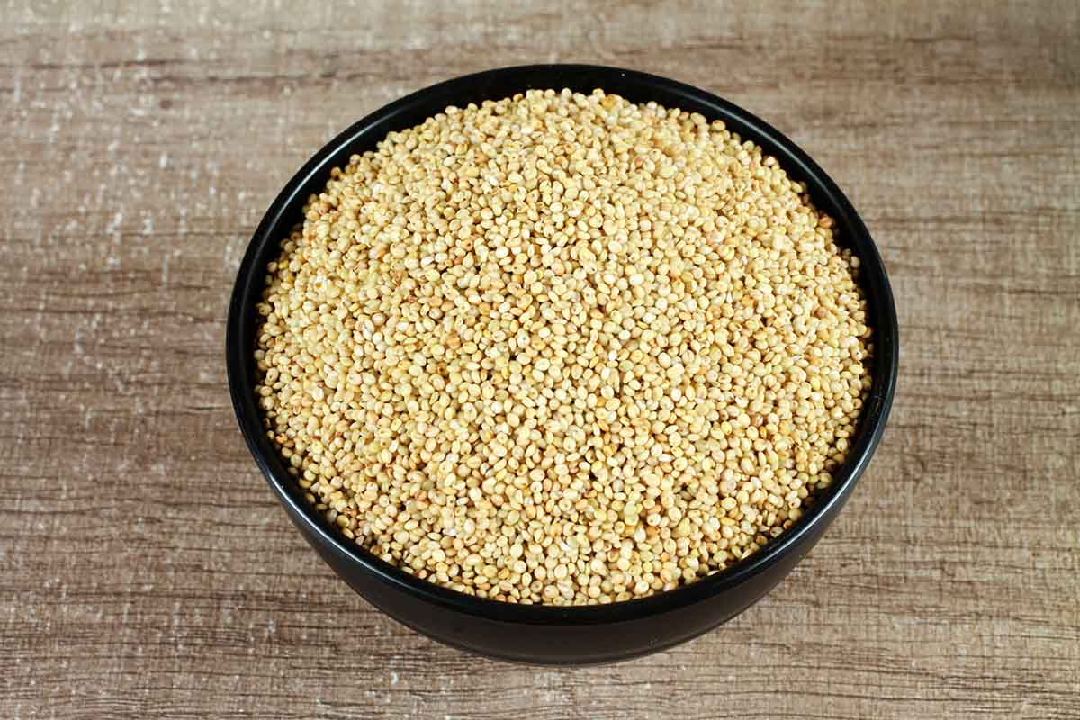 BROWN TOP MILLET 500